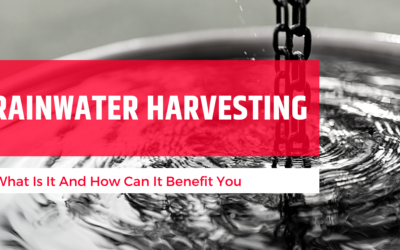 What is Rainwater Harvesting and How Can it Benefit You?